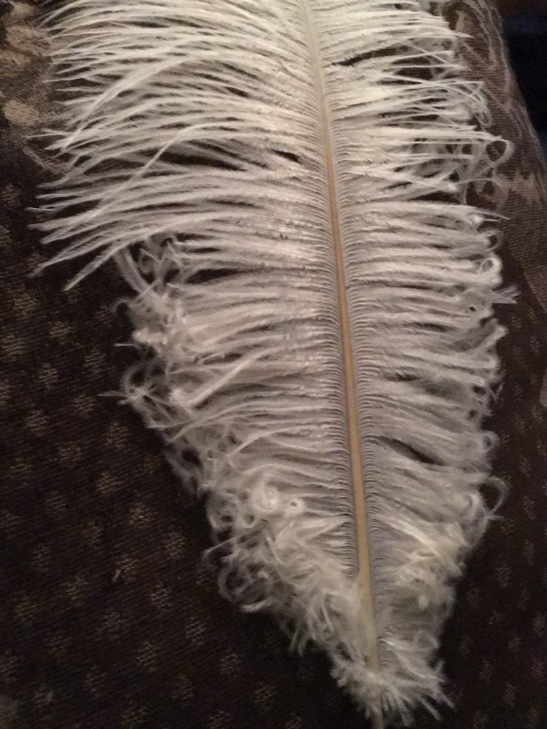Curled ostrich feather in progress